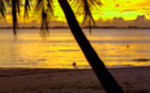 ���ڌW(xu��)��(x��)Ӌ�����ŷ���