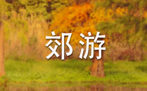 實用的郊游作文300字(共4篇)