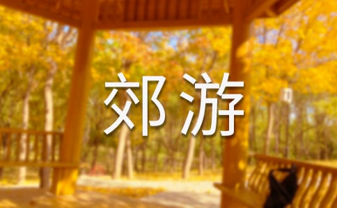 小學(xué)生郊游作文600字匯編八篇