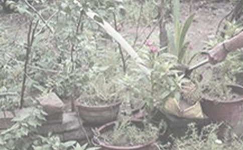 �P�ڝ�����2�꼉����