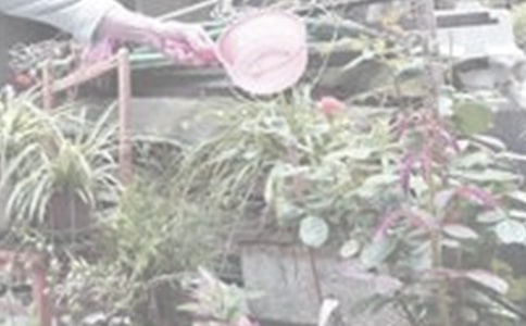 ���꼉(j��)��������10ƪ