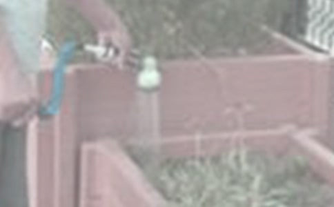 �����x�����꼉(j��)��������3ƪ