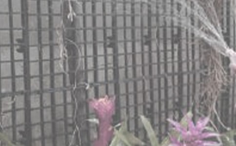 �ҌW(xu��)���˝�������