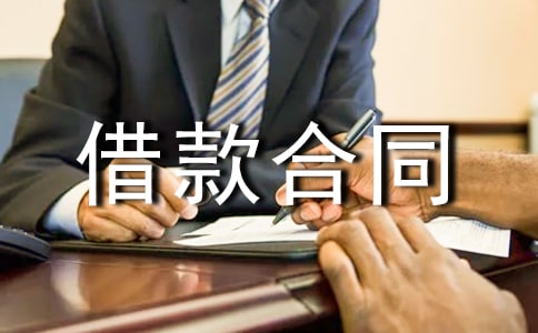 個(gè)人購房擔(dān)保借款合同11篇