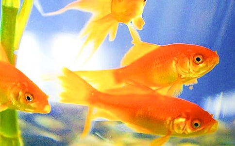 ������衶С���~���̰�