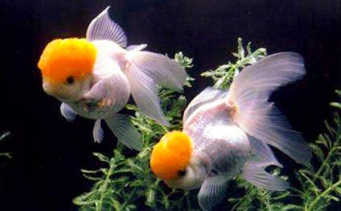 �^����~��ӛ�ϼ�15ƪ