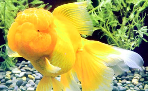 ��(sh��)�õĽ��~���^����ӛ4ƪ