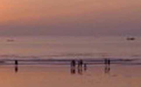 公園的景色作文6篇