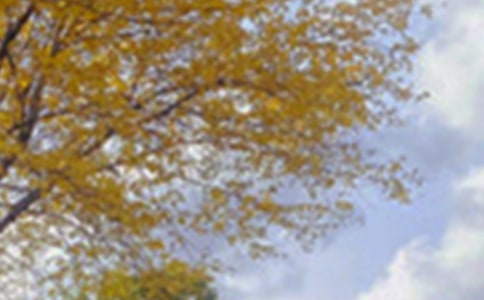 �茑��߅��ɫ�ľ���13ƪ