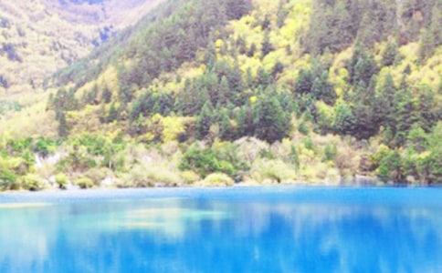 ����ľ�կ��6�꼉����