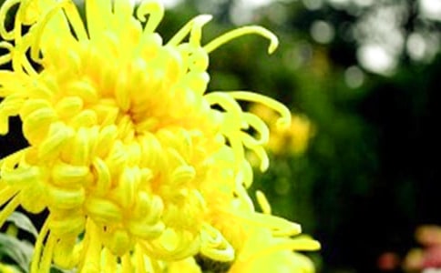 �п��ջ����Ǆe���L(f��ng)�˵�����Ȧ����ͨ��