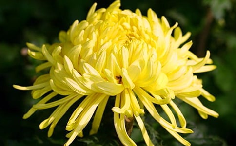 �����ջ����ڶ��n�r�̰��O(sh��)Ӌ