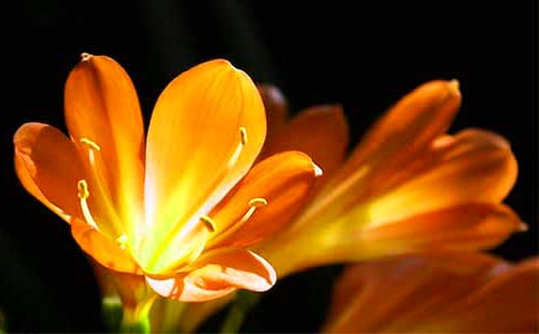 �����m������200��