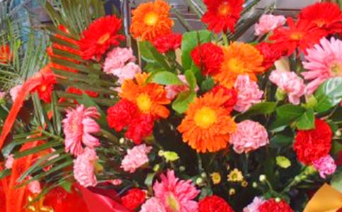 �����_(k��i)����ף���Z(y��)320��