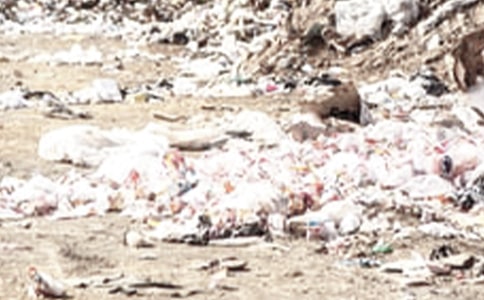 �������D(zhu��n)վ����Ҏ(gu��)���ƶȣ����x12ƪ��