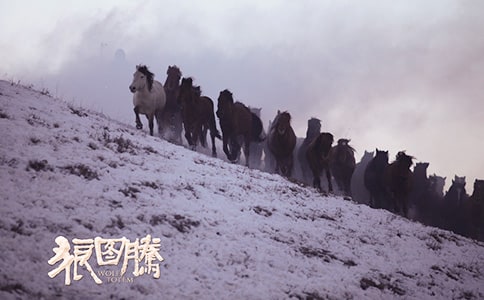 �P(gu��n)�ڡ��ǈD�v���x��У����x7ƪ��