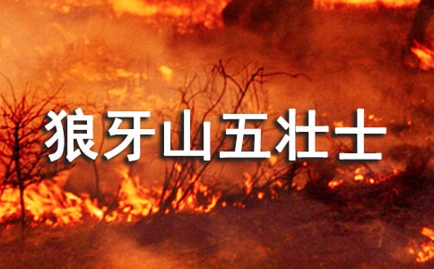 ������ɽ���ʿ���̌W�OӋ15ƪ