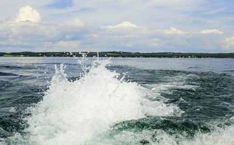 一朵美麗的浪花作文600字(精選40篇)