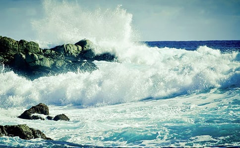 生活中的一朵浪花初中作文(精選29篇)