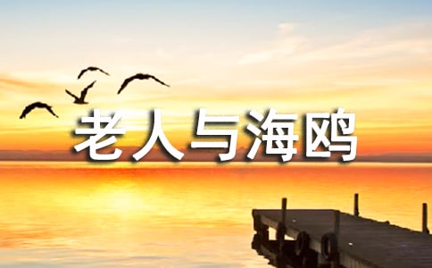 �������c���t����(y��u)�|(zh��)�n�̰��O(sh��)Ӌ(j��)