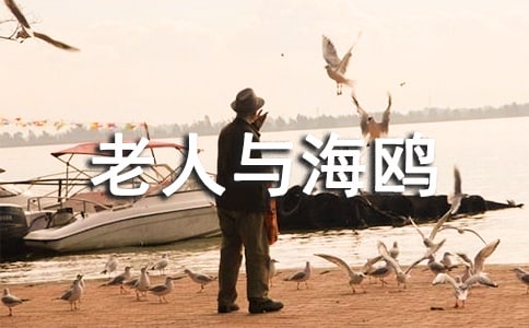 �������c���t���x�������800��