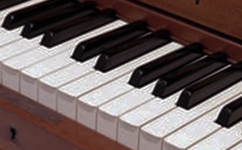 �W(xu��)��(l��)�����꼉(j��)����