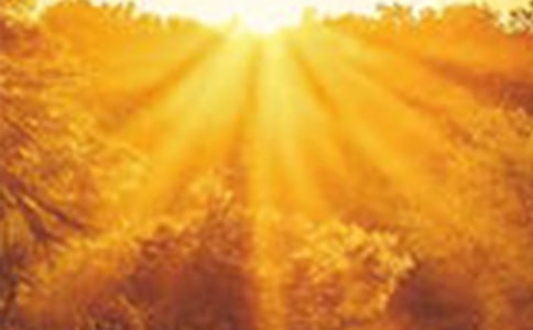 ���F�Ќ�����������ɢ��