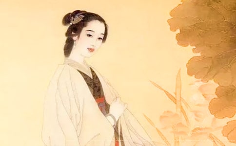 �w����-��������s�L(f��ng)��