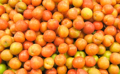 ���b�����������꼉(j��)����