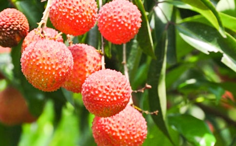 ��֦С�W(xu��)����