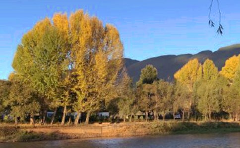 麗江古城導(dǎo)游詞15篇