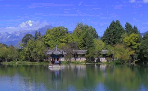 ����ҹɫ����