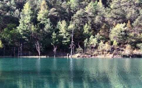 麗江古城的水導(dǎo)游詞