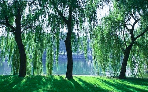 ���x����׃��������ƪ