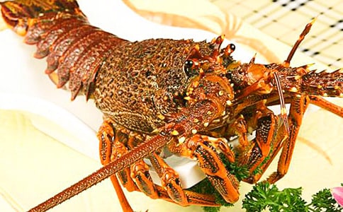 威武的龍蝦說明文