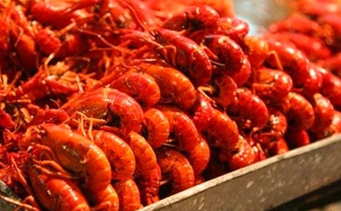 我變成了龍蝦1000字作文