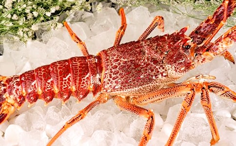 ׽���r���꼉��(y��u)������