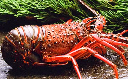 ���꼉(j��)���r���ĺϼ���ƪ