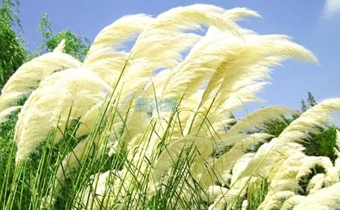 �������܉�˼����JȔ����(y��u)��̰�