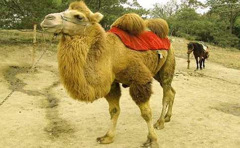 ����̰����ļ��\6ƪ