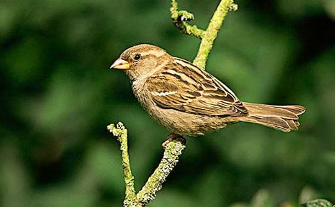 ����Ʒ����ȸ���꼉����3ƪ