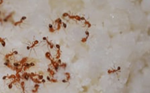 �׃����R(sh��)�̰�����Ȥ��Λρ��