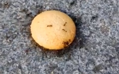 �P(gu��n)��Λρ�F(tu��n)�Y(ji��)����300�־�ƪ