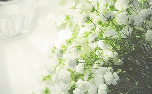 滿天星說明文作文