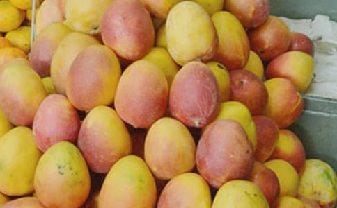 ���xâ�����꼉(j��)������ƪ