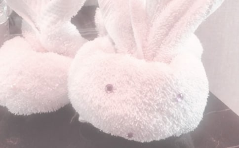 ë�����N�V���~310��