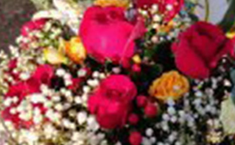 �P(gu��n)���茑õ�������9ƪ