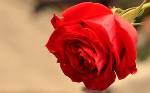 õ������������������