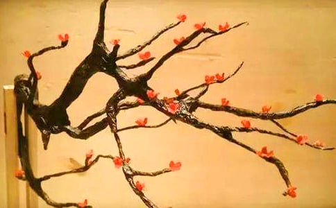 ÷����Ψ��ɢ��