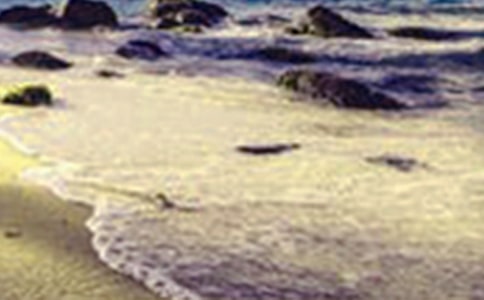 ����ʡ������(d��o)���~